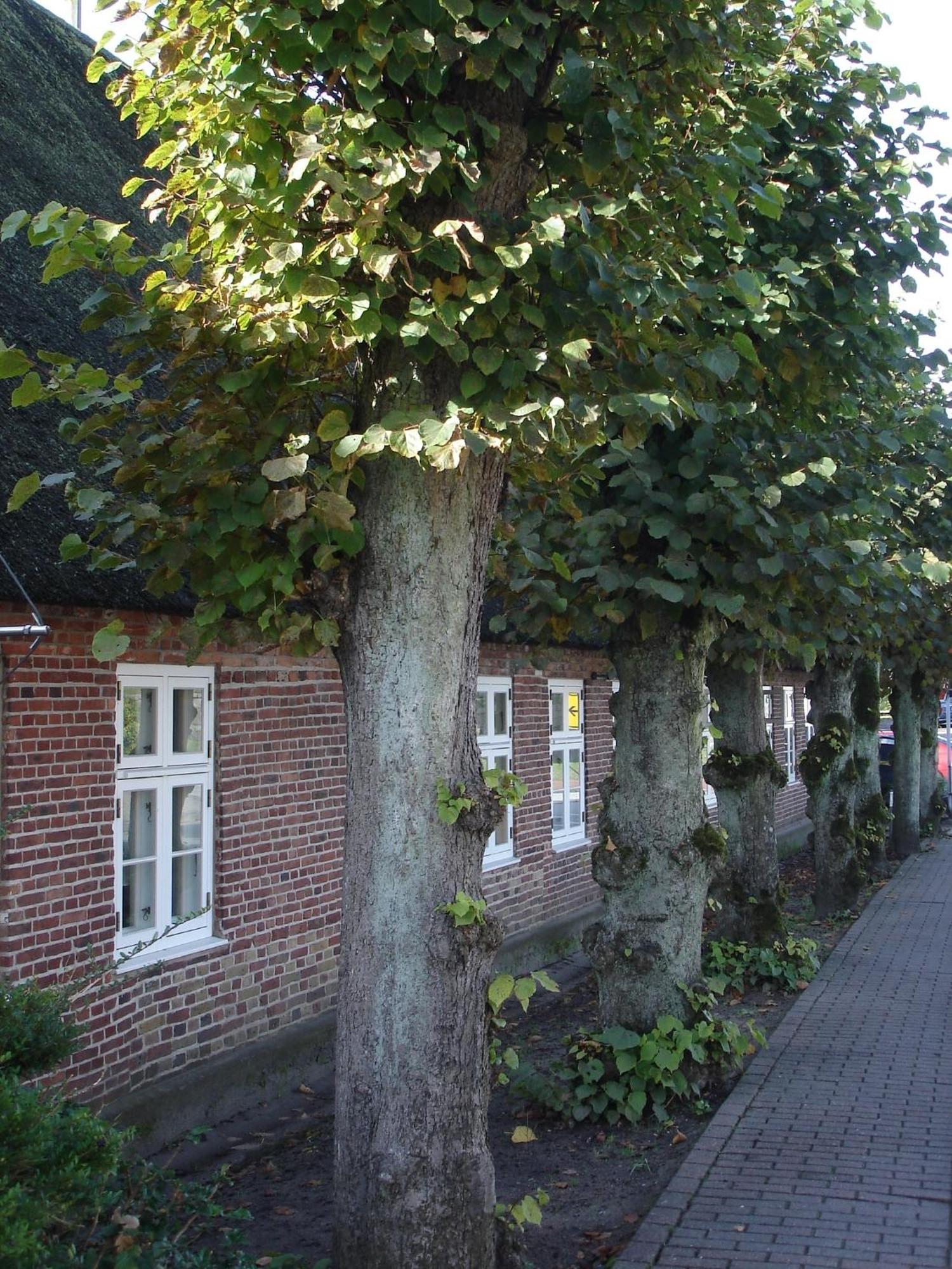 Tetens Gasthof Süderlügum 外观 照片